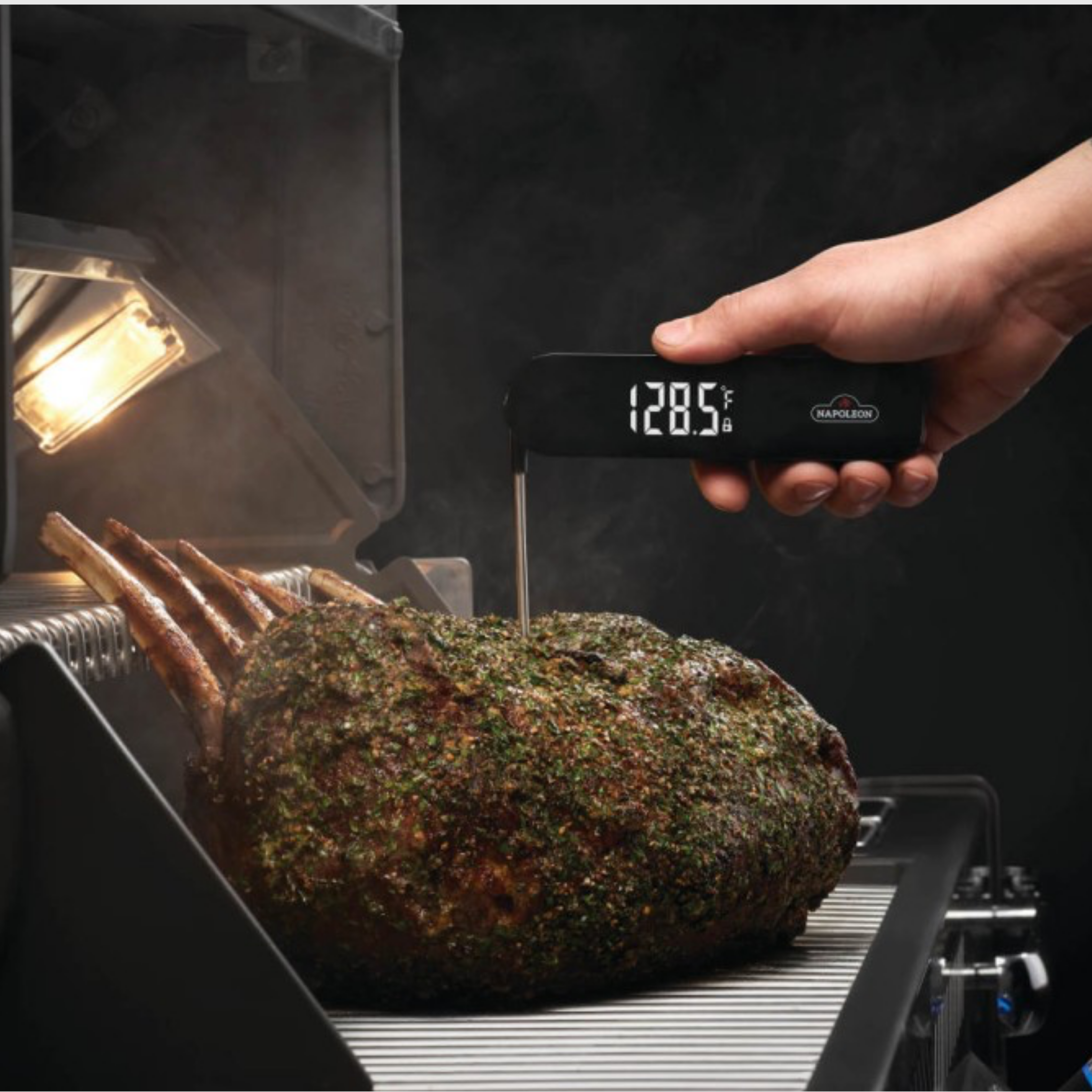 Fast Read Thermometer